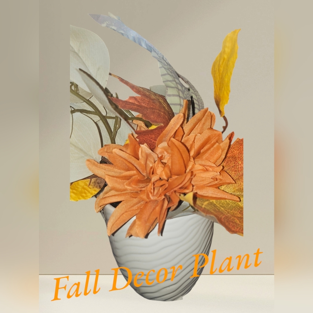 Decor